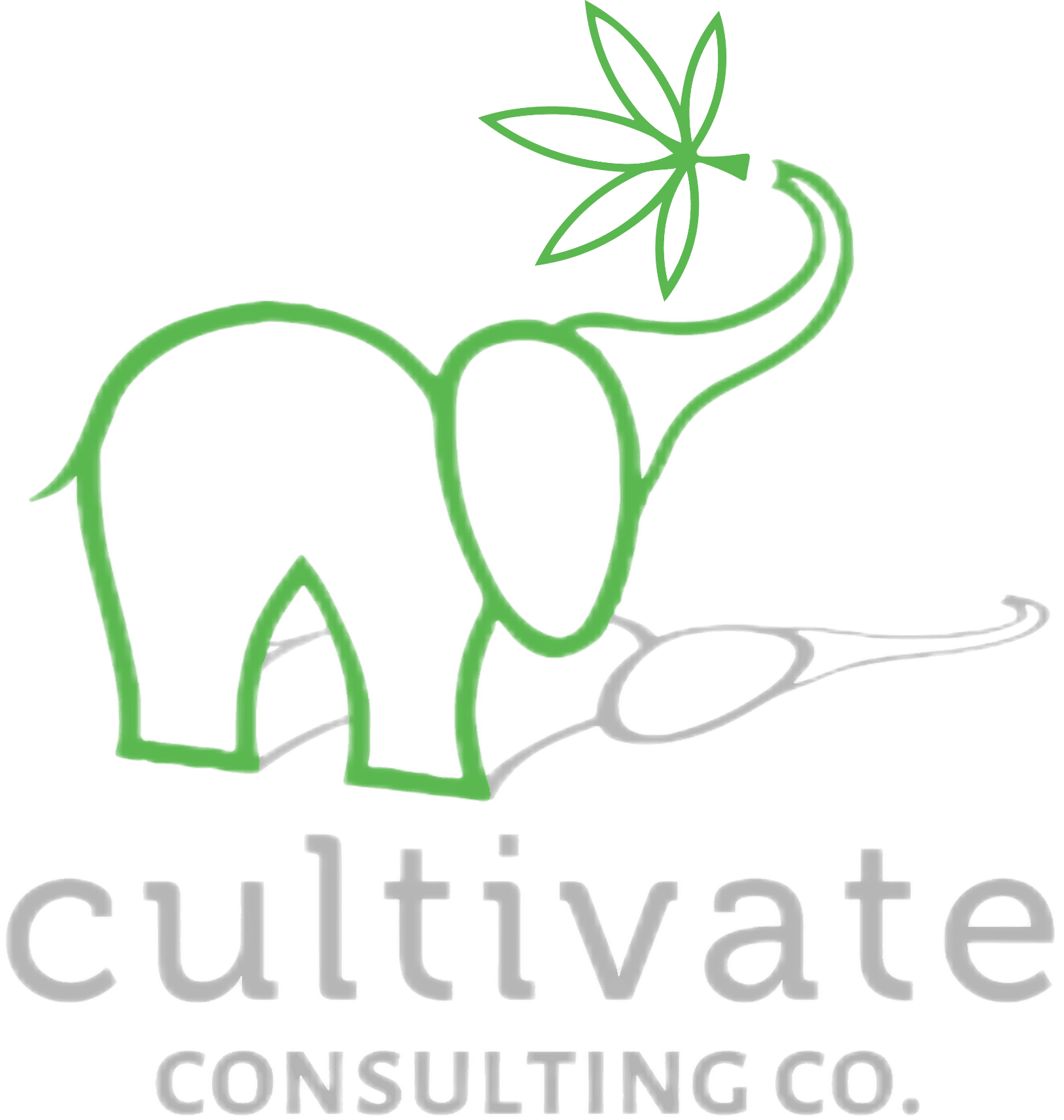 Cultivate Consulting Co.